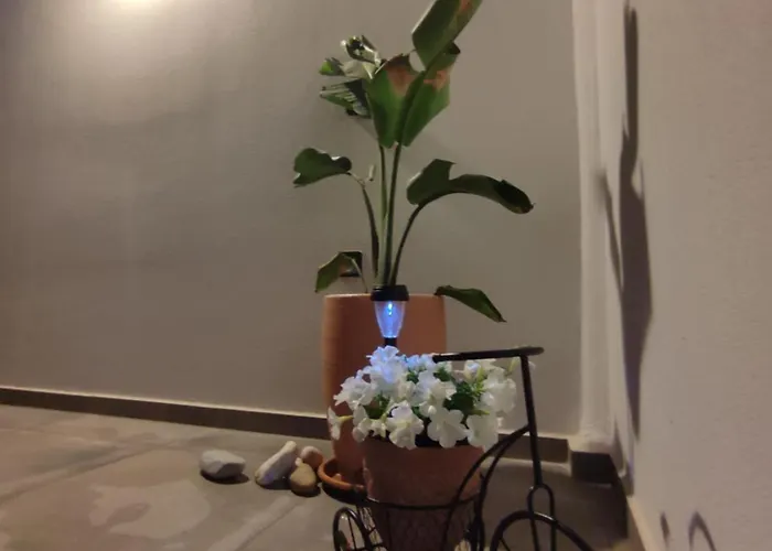 Sifnaiou 2 * Parasporos