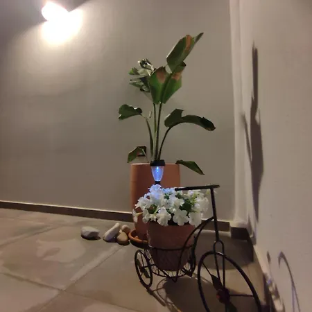 Sifnaiou 2 * Parasporos